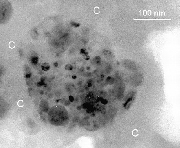 Image au microscope électronique à transmission en champ clair d'un GEMS inclus dans un matériel carboné amorphe (C). Les inclusions sont de la kamacite (FeNi) et des sulfures de fer.