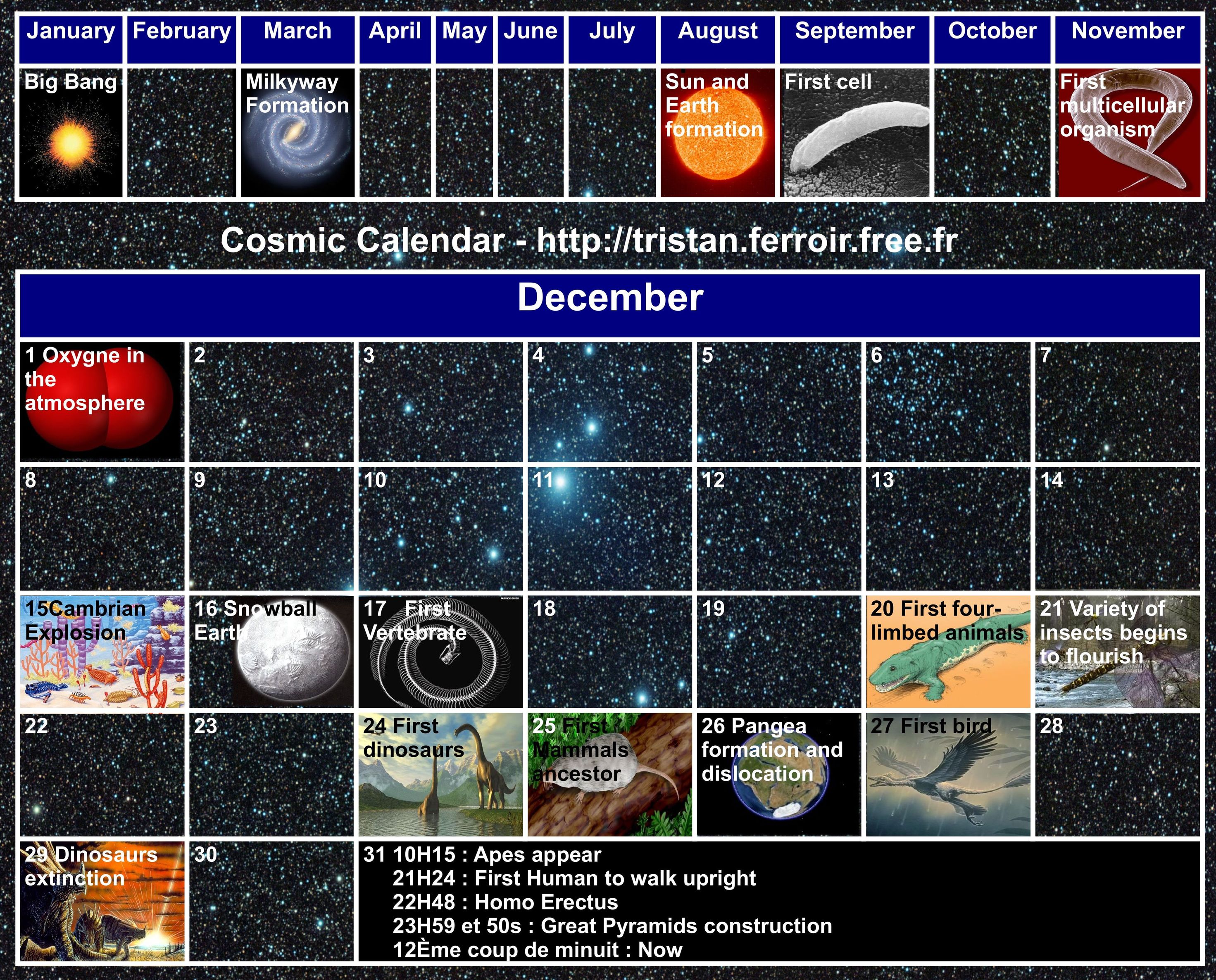 Le calendrier cosmique – Cosmic calendar  Tristan FERROIR